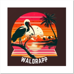 Waldrapp: The Endangered Beauty Posters and Art